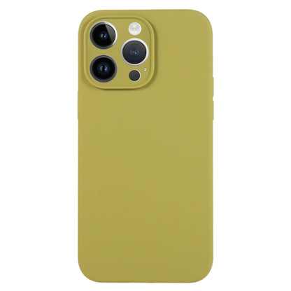 For iPhone 13 Pro Max Pure Color Liquid Silicone Fine Pore Phone Case(Willow Green) - iPhone 13 Pro Max Cases by buy2fix | Online Shopping UK | buy2fix