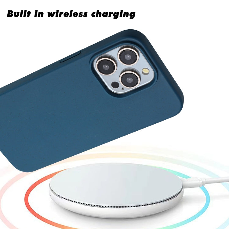 For iPhone 11 Pro Wheat MagSafe Magnetic Straw Material + TPU Phone Case(Blue) - iPhone 11 Pro Cases by buy2fix | Online Shopping UK | buy2fix