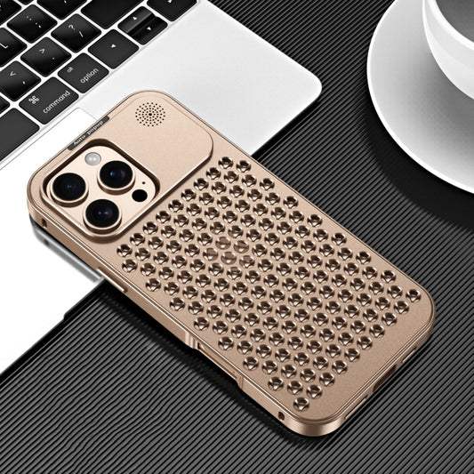 For iPhone 16 Pro Max R-JUST RJ58 Aromatherapy Metal Cooling Phone Case(Gold) - iPhone 16 Pro Max Cases by R-JUST | Online Shopping UK | buy2fix