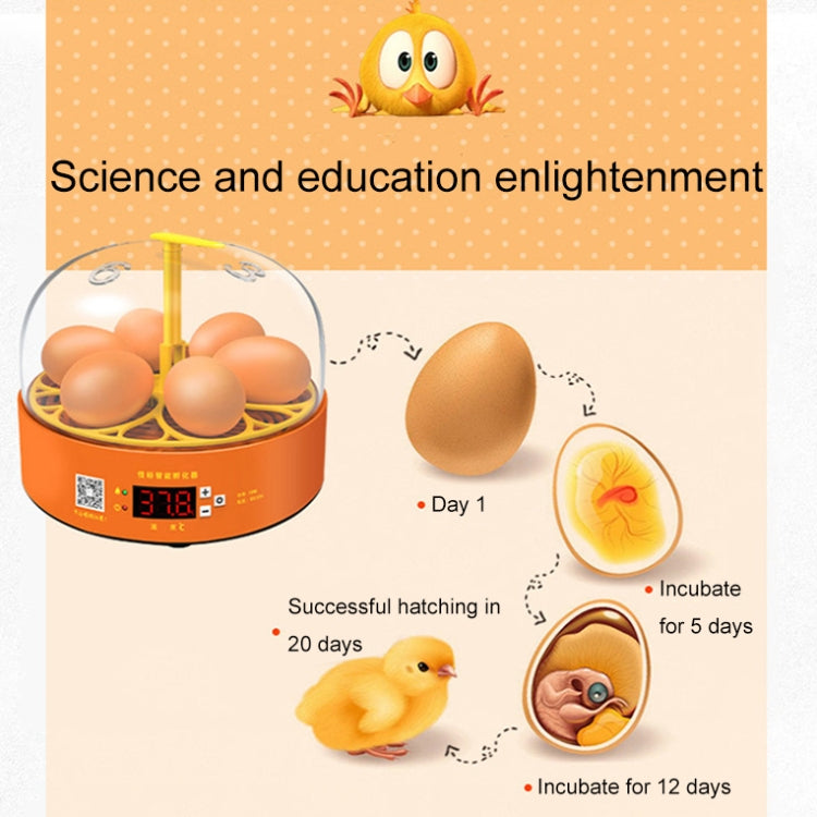 6-Eggs Small Household Experimental Children Smart Chicken Incubators, Spec: Automatic EU Plug - Incubators by buy2fix | Online Shopping UK | buy2fix