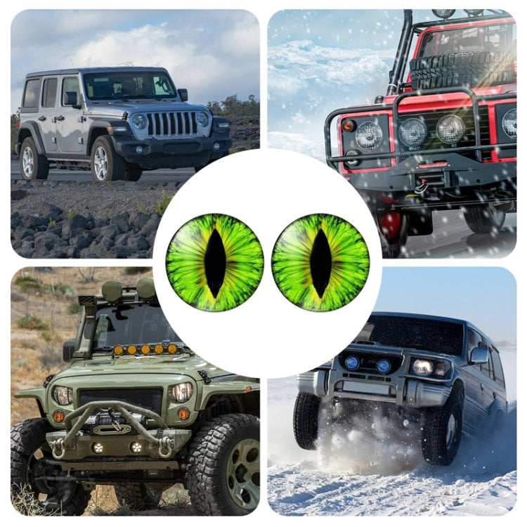 1pair Beast Eyes Headlight Decorative Stickers Off-Road Vehicle Front Lights Stereo Decals, Style: 5 - Lamp Decoration by buy2fix | Online Shopping UK | buy2fix