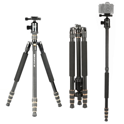 TRIOPO 554 Adjustable Portable  Aluminum Alloy Tripod with D-2A Ball Head for SLR Camera - Camera Accessories by TRIOPO | Online Shopping UK | buy2fix