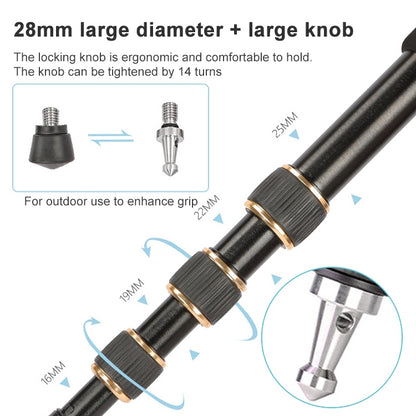 TRIOPO 554 Adjustable Portable  Aluminum Alloy Tripod with D-2A Ball Head for SLR Camera - Camera Accessories by TRIOPO | Online Shopping UK | buy2fix