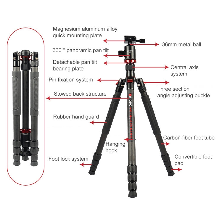 TRIOPO 888 Adjustable Portable Carbon Fiber Tripod with Q-2 Ball Head for SLR Camera, Pipe diameter: 28cm - Camera Accessories by TRIOPO | Online Shopping UK | buy2fix