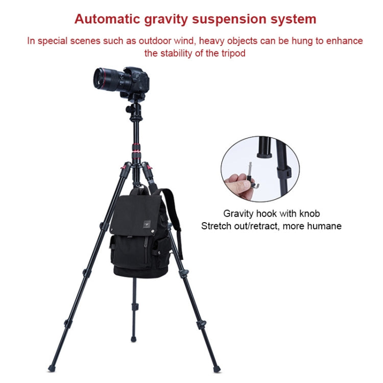 TRIOPO K2508S+B1S Adjustable Portable  Aluminum Alloy Tripod with Ball Head for SLR Camera(Gold) - Camera Accessories by TRIOPO | Online Shopping UK | buy2fix