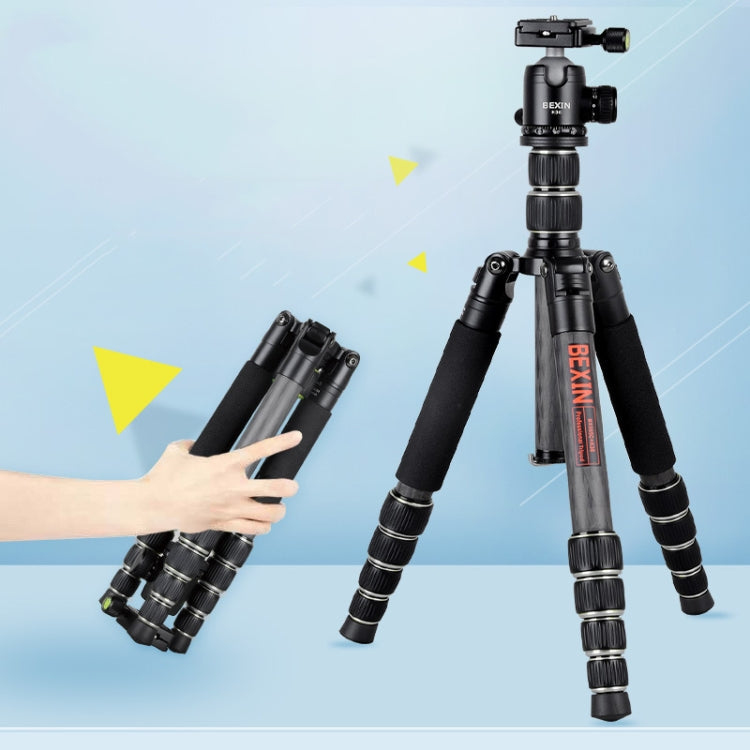 BEXIN BX285C K36 Portable Carbon Fiber Tripod for Dslr Digital DV Camcorder - Camera Accessories by BEXIN | Online Shopping UK | buy2fix