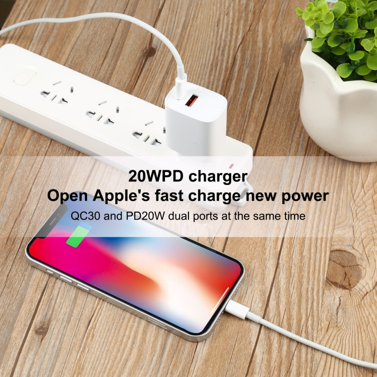 T087 20W USB-C / Type-C + USB Ports Charger with 100W Type-C to 8 Pin Fast Charging Cable 1m, EU Plug - USB Charger by buy2fix | Online Shopping UK | buy2fix