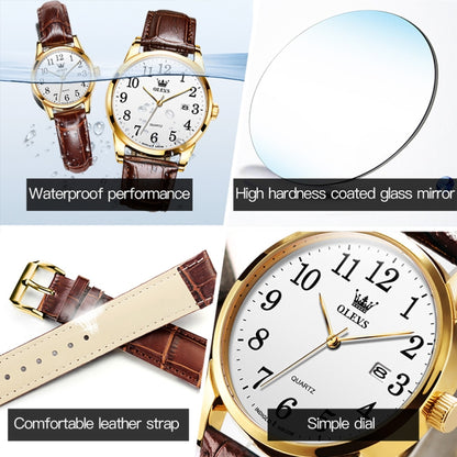 OLEVS 5566 Men Simple Single Calendar Waterproof Quartz Watch(White) - Leather Strap Watches by OLEVS | Online Shopping UK | buy2fix