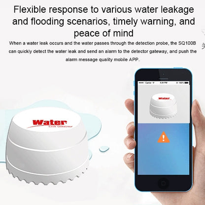 DY-SQ100B Water Leakage Detector with Two Sensors(White) - Security by buy2fix | Online Shopping UK | buy2fix