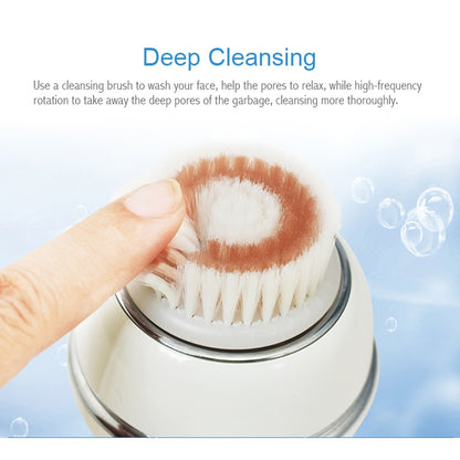 Duosi DY-103 USB Rechargeble Electric Facial Cleansing Brush Waterproof Face Deep Pore Cleaning Massager Exfoliator Oil Dirt Blackhead Remove - Cleanser by Duosi | Online Shopping UK | buy2fix