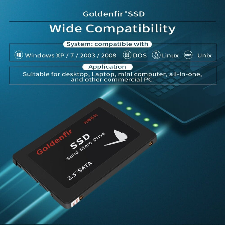 Goldenfir T650 Computer Solid State Drive, Flash Architecture: TLC, Capacity: 256GB - Computer & Networking by Goldenfir | Online Shopping UK | buy2fix