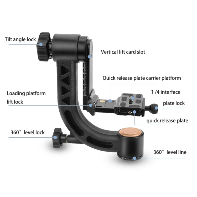 QingZhuangShiDai Q35 SLR Camera Telephoto Lens Bird Watching Tripod Head(Gold) - Camera Accessories by QingZhuangShiDai | Online Shopping UK | buy2fix